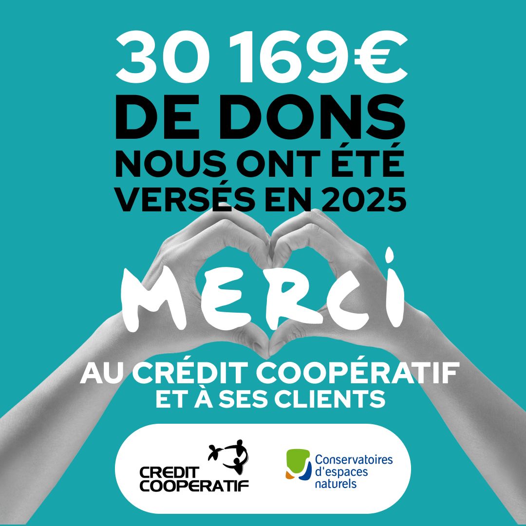 Plus de 30&nbsp;000 euros de dons reversés par le Crédit Coopératif et ses clients en 2025 !