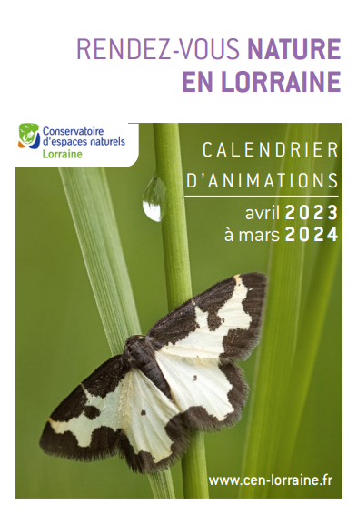 Rendez-vous nature en Lorraine