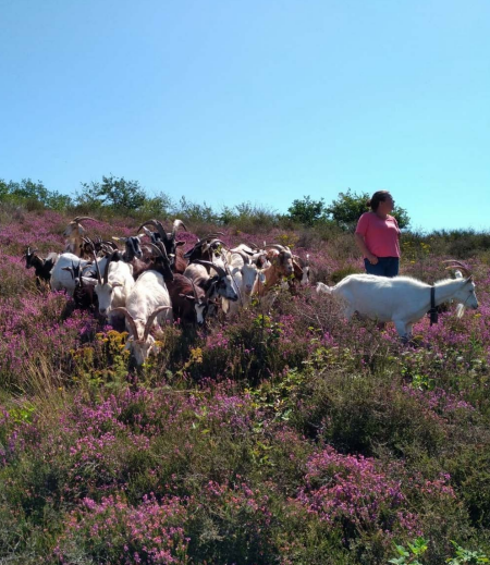 Les Conservatoires d&rsquo;espaces naturels lauréats de l&rsquo;appel à projets Patrimoine Naturel & Biodiversité en 2023