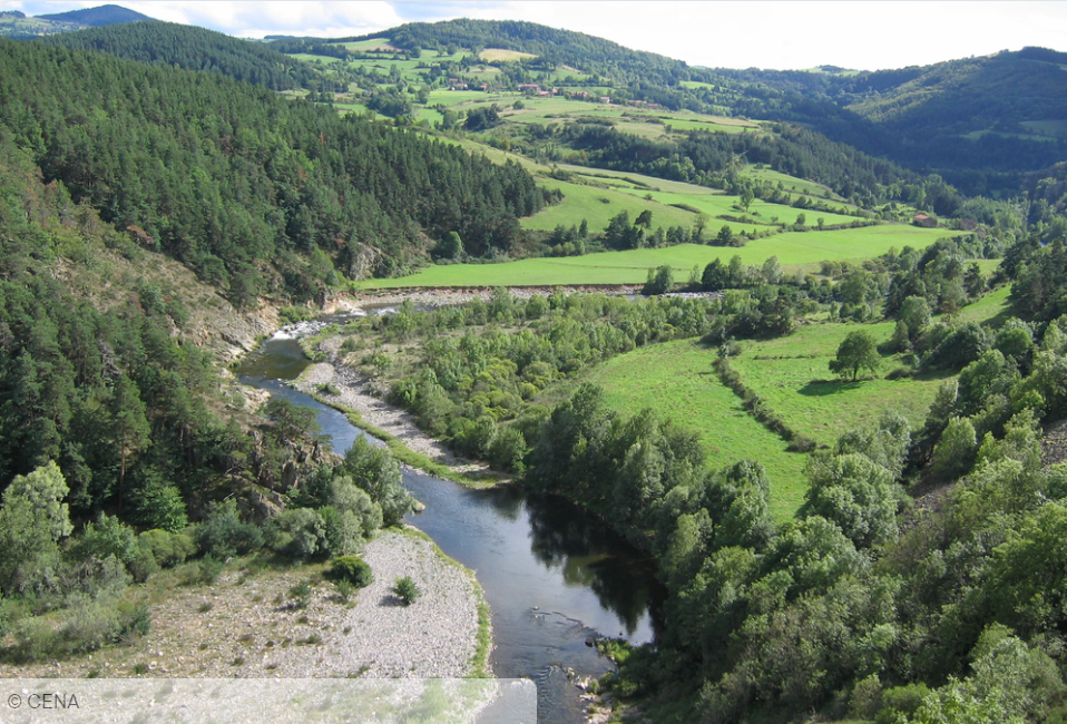 Aidez à replanter les vergers dans les Gorges de la Loire&nbsp;!