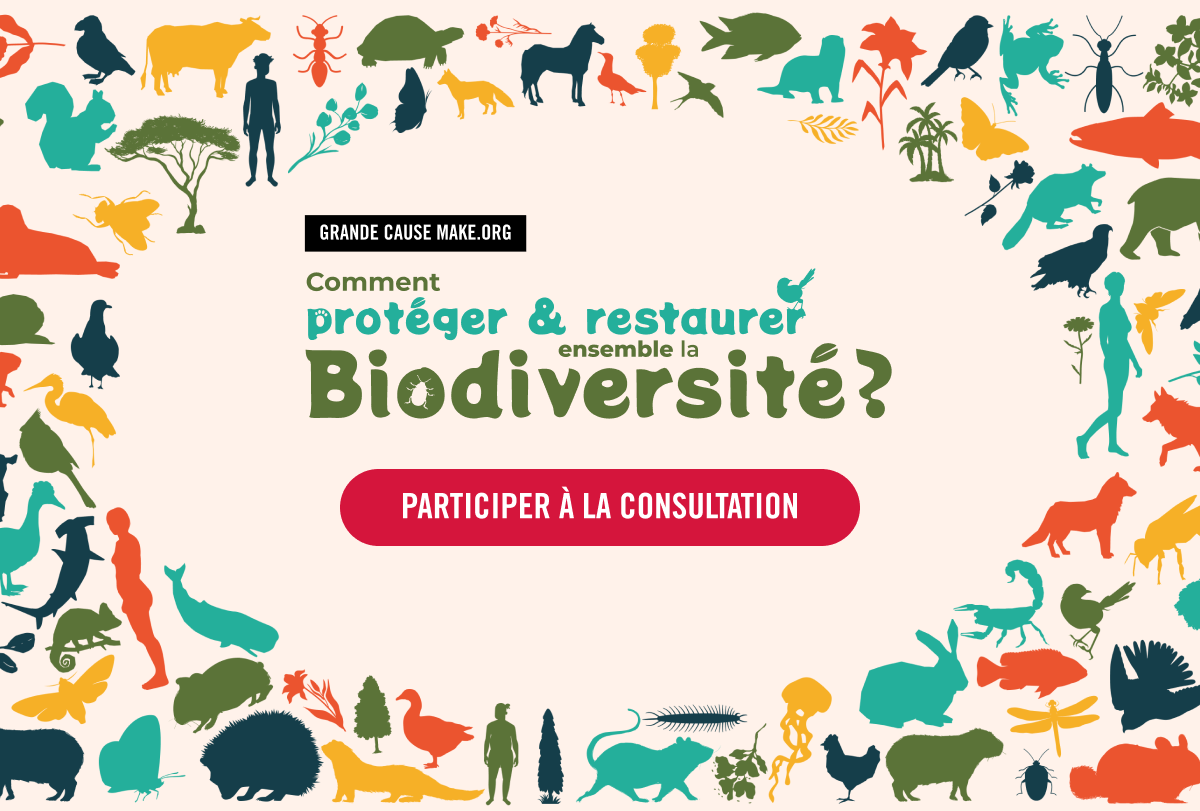 Grande Cause Make.org&nbsp;: Comment protéger et restaurer ensemble la biodiversité&nbsp;?