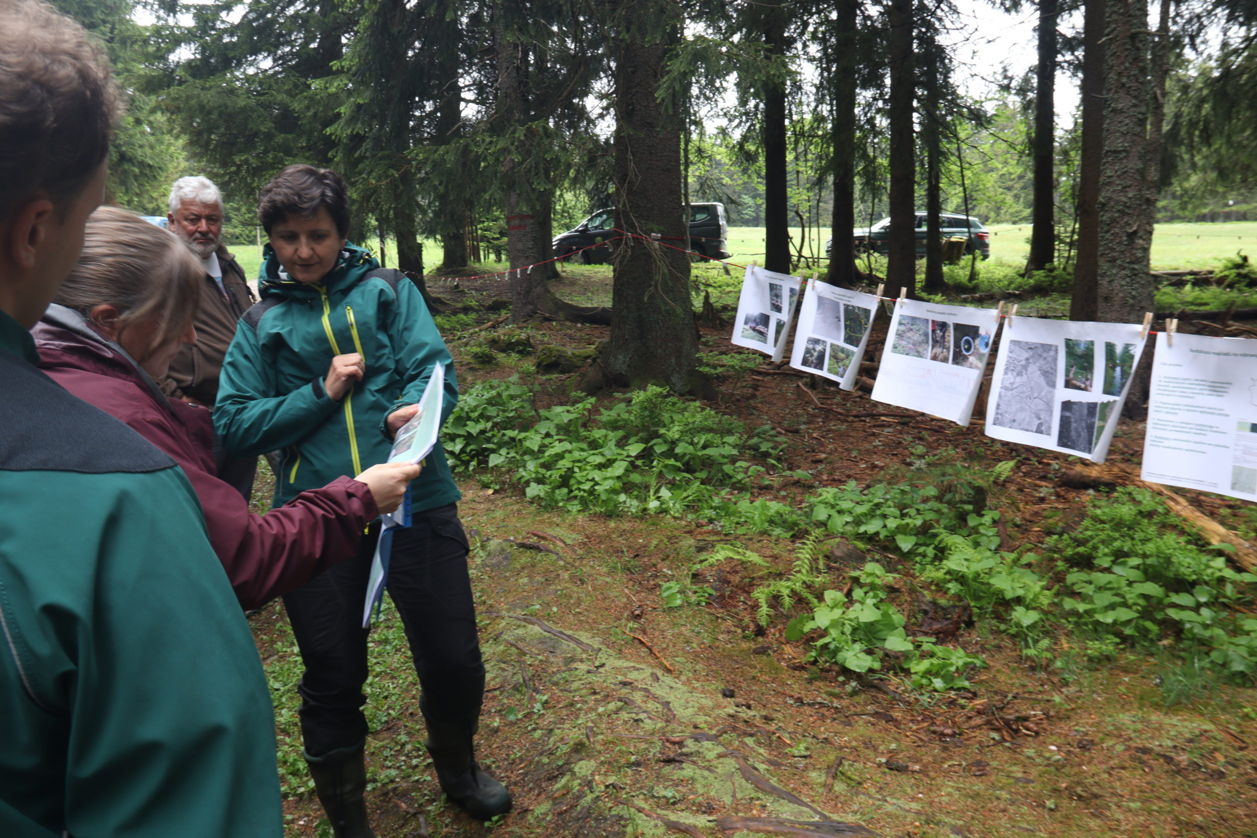 Des Vosges aux Monts des Géants : le Conservatoire d’espaces naturels de Lorraine coopère avec la République Tchèque&nbsp;!