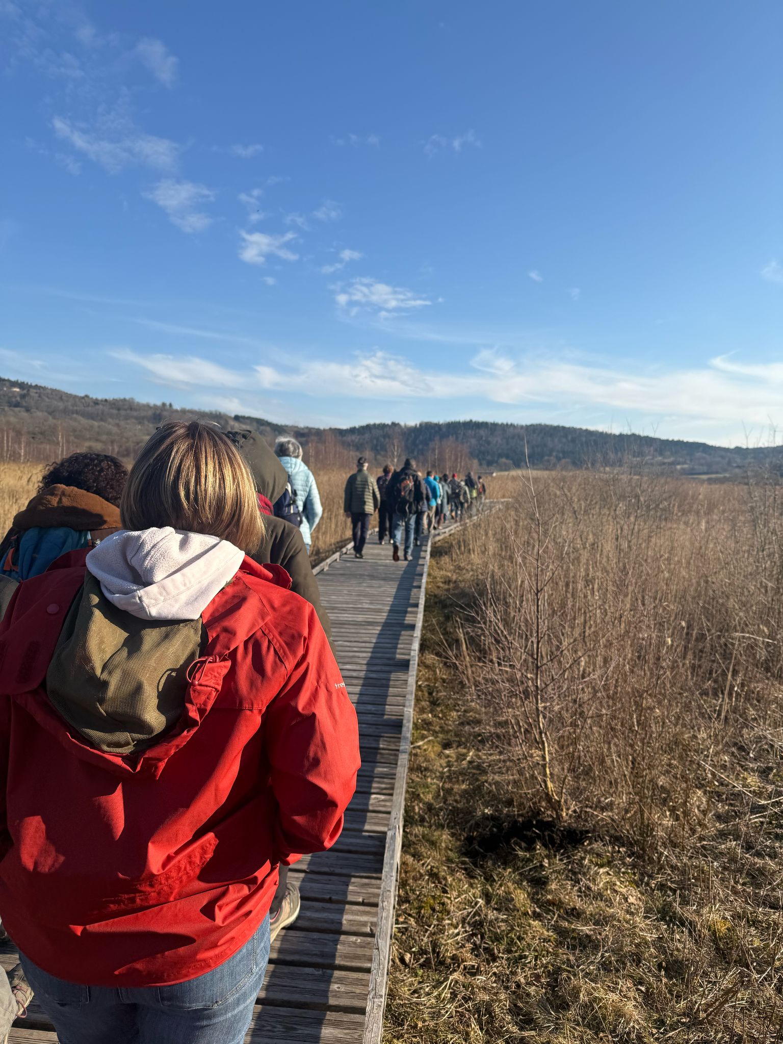 Lancement de la 31ème édition de Fréquence Grenouille sur les zones humides du Haut-Bugey