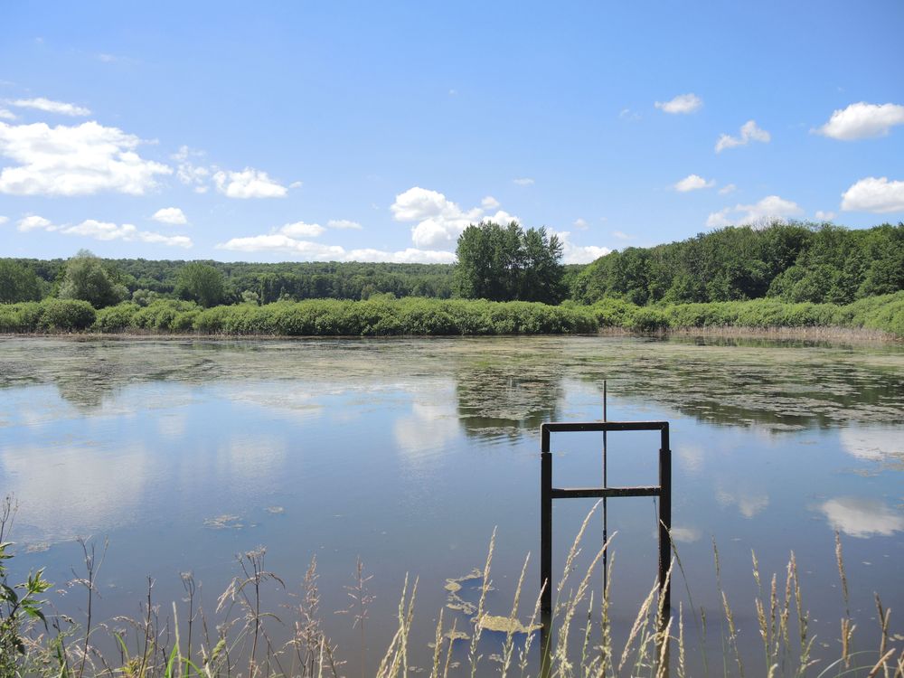 Les Conservatoires d&rsquo;espaces naturels sont lauréats de l’appel à projets « Patrimoine naturel & Biodiversité »