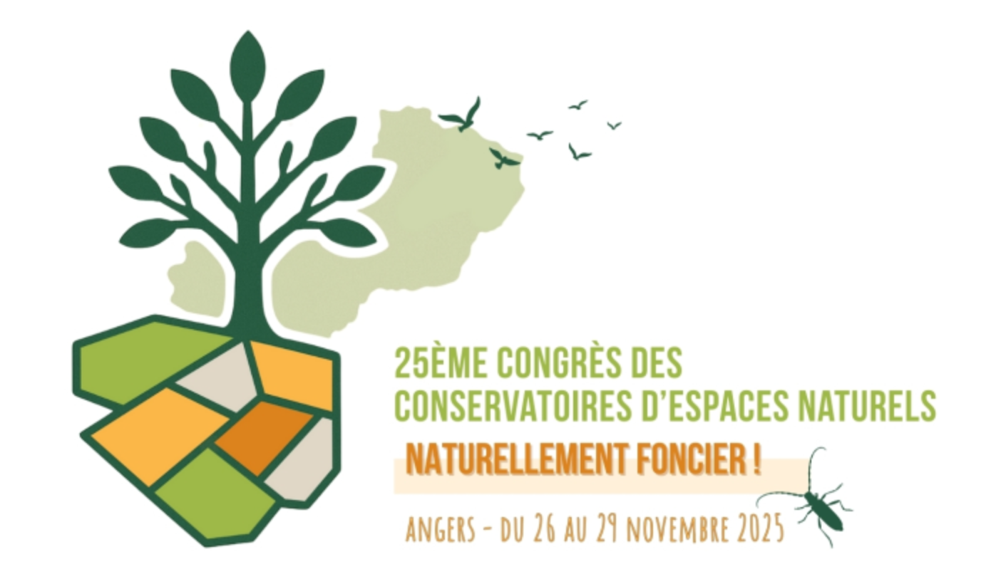 Une première journée dynamique pour le 25ᵉ Congrès&nbsp;!