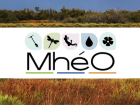 Réseau national de sites de démonstration MhéO : « Milieux humides, évaluation, observation »
