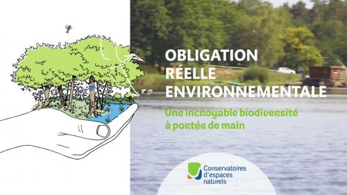ORE&nbsp;: retours d’expérience en vidéo