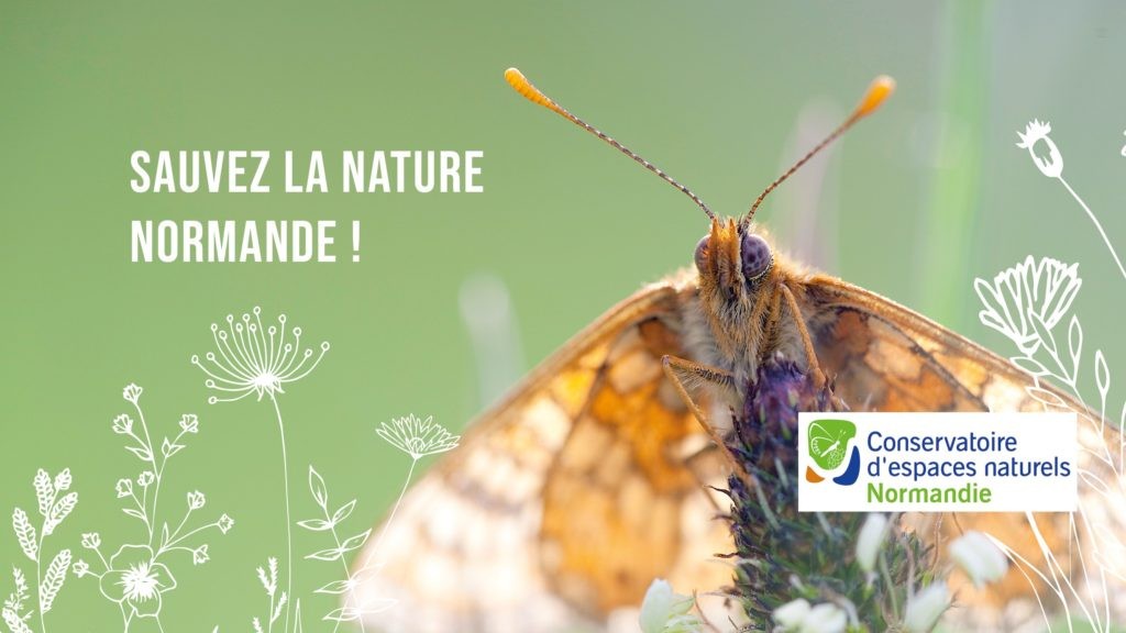 Sauvez le patrimoine naturel normand&nbsp;!