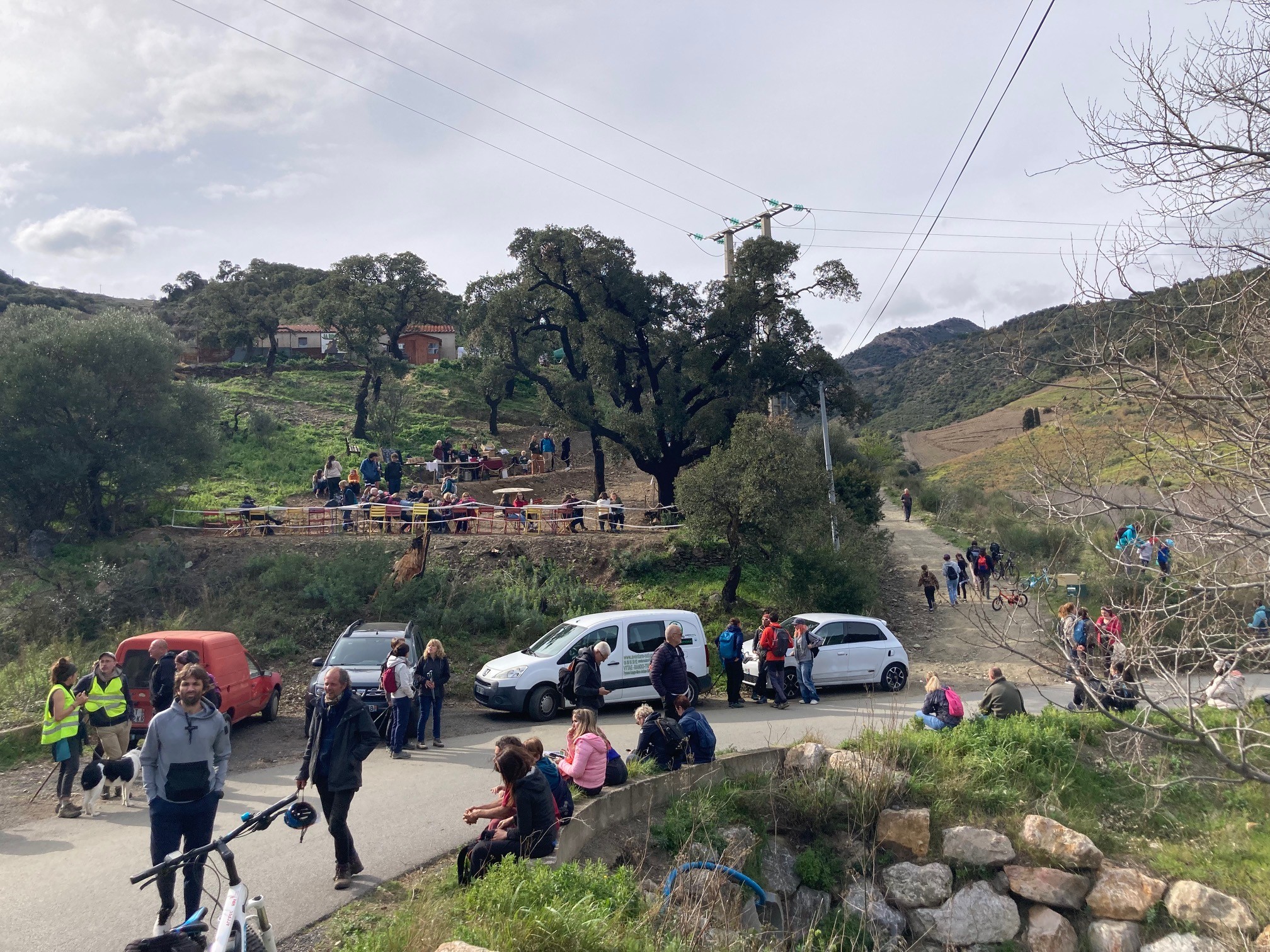 La transhumance en fête à Banyuls-sur-Mer